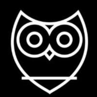 Wisowl logo - Similar company to Hyrloop