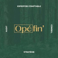 Opefin Expertise logo - Similar company to Opefin' Holding
