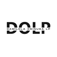 DOLP Consulting logo - Similar company to Professor A.B Kasunmu'S Chambers Lp