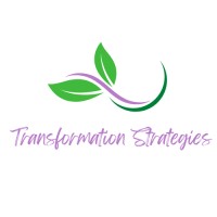 Transformation Strategies logo - Similar company to Asdzą́Ą́ Consulting