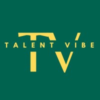TalentVibe logo - Similar company to Talentvibes Solutions