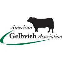 American Gelbvieh Association logo - Similar company to Live Better Beef, Llc