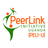 PeerLink Initiative Uganda (PELI-U) logo - Similar company to Peerlink