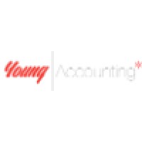 Young Accounting Services