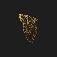 Digital Wolf Agency logo - Similar company to Immaculate Flight