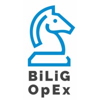 BiLiG Operational Excellence Consultants logo - Similar company to Success Programme