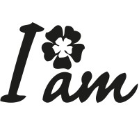 I Am Stores logo - Similar company to Alysi