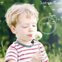 Lotvacuum America/ 엘오티베큠 USA logo - Similar company to Cs Clean Solutions