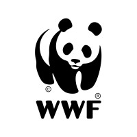 WWF-Korea logo - Similar company to Luums