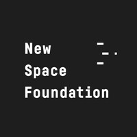 New Space Foundation logo - Similar company to Stellar Fireworks