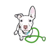 Dandy Dog LLC