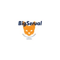 Bigserval España logo - Similar company to Bigserval