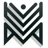 Maneli Vira Artan logo - Similar company to Kajeemexpress | کجیم اکسپرس