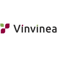 Vinvinea logo - Similar company to Ungap Education