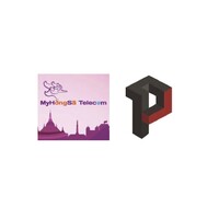 Hongsa Telecom/Premier Ventures