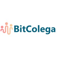 BitColega logo - Similar company to Bitkollegen Gmbh