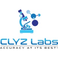 CLYZ Labs Limited logo - Similar company to Incodus Technologies