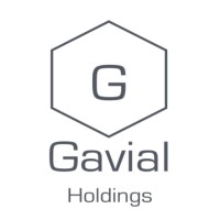 GAVIAL HOLDINGS, INC. logo - Similar company to Nusource