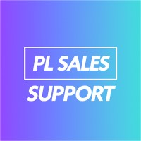 PL Sales & Support logo - Similar company to Ns Visions