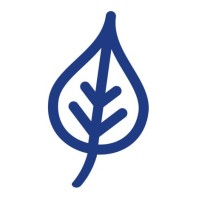 SAYVA logo - Similar company to Proteco S.A.