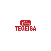 TEGEISA logo - Similar company to Seocean Digital