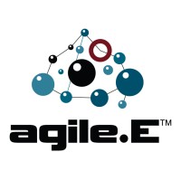 agile.E logo - Similar company to Cybersecurity Talent Initiative