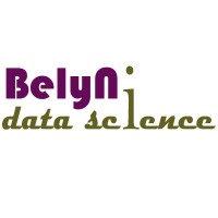 BelyN Data Science logo - Similar company to Accimoto