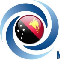 Niugini Turbines Service Limited logo - Similar company to Twenty20 Energy