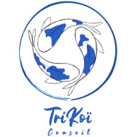 Trikoï Conseil logo - Similar company to Mandarine Codi