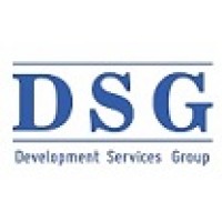 DSG LLC logo - Similar company to Idsg