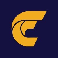 Centrale Finance & Consulting logo - Similar company to Ivs - Intelligent Video Software