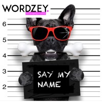 WORDZEY logo - Similar company to E-Mit Solutions