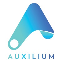 Auxilium IT Services logo - Similar company to Adharai Technologies