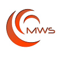 Millennium Web Strategies