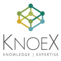 Knoex Consultoria Técnica E Econômica