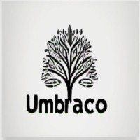 Umbraco Dem logo - Similar company to Umbraco Developer
