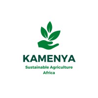 Kamenya logo - Similar company to Impact For Change