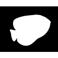 Ocean Genesis logo - Similar company to Applied Brilliance