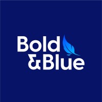 Bold & Blue logo - Similar company to Bamboe Consulting