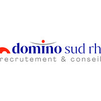 Domino Sud RH logo - Similar company to Studio Kraft