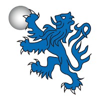 PEARL LION LIMITED logo - Similar company to Scotia Security Group