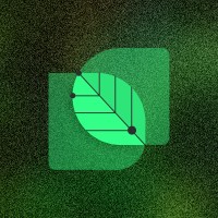 NatureDAO logo - Similar company to Rain - Regenerative Agroforestry Impact Network