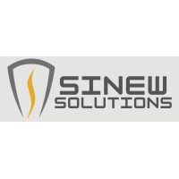 Sinew Solutions logo - Similar company to Save Rare Treatments Task Force