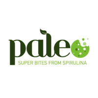 Paleo logo - Similar company to Itech Cyprus