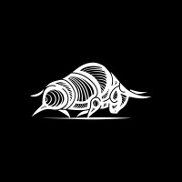 Poison Financial Technologies logo - Similar company to Nok Group