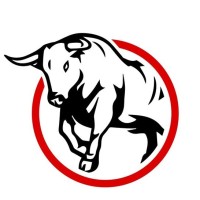Bull Street Mergers logo - Similar company to Snj, Llc