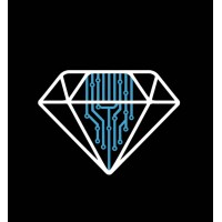 DataDiamond.ai logo - Similar company to Wikimodel