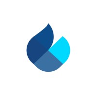 Blue BMS logo - Similar company to Safe Fire Detection
