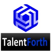 Talent Forth Consultancy logo - Similar company to Btg Peru