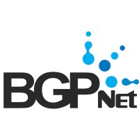 Bgp Network